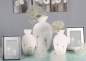 Preview: Vase weiße Keramik mit Pusteblumen